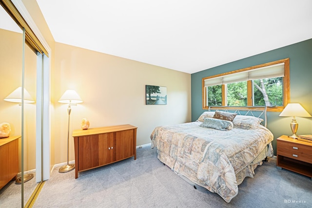 13520 Idlewild Dr, Orland Park, IL 60462 - bedroom featuring carpet floors and a closet