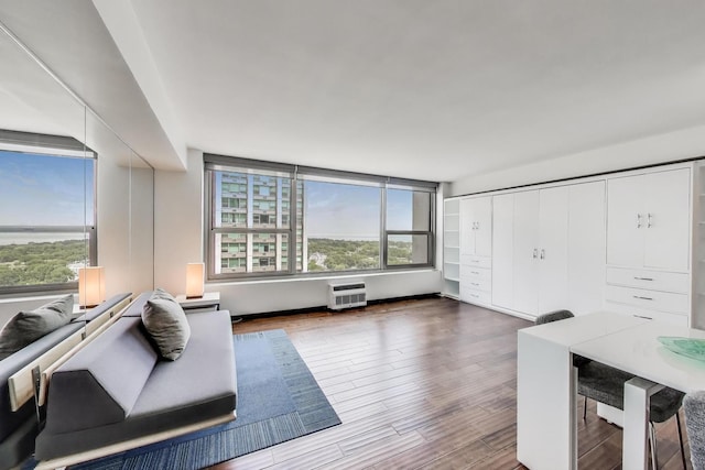 3600 N Lake Shore Dr Unit 2204, Chicago, IL 60613 - living room with plenty of natural light, wood finished floors, and a wall mounted AC