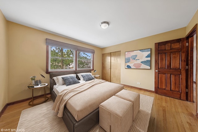 9061 Primrose Ln, Hickory Hills, IL 60457 - bedroom featuring light wood-style floors and a closet