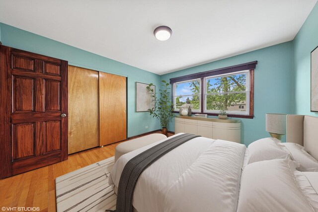 9061 Primrose Ln, Hickory Hills, IL 60457 - bedroom with a closet and light wood-style flooring