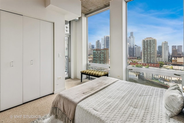 700 N Larrabee St Unit 1409, Chicago, IL 60654 - bedroom with a view of skyline, carpet flooring, and a closet