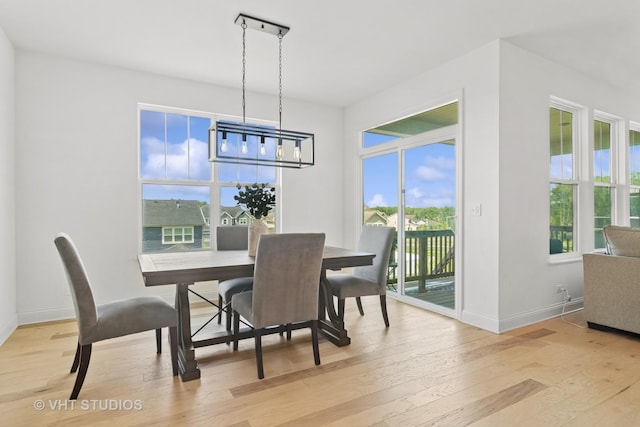 1140 River Birch Blvd, Crystal Lake, IL 60012 - dining space with light wood finished floors and baseboards