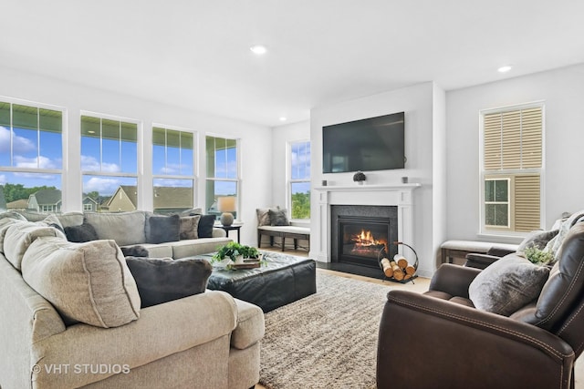 1140 River Birch Blvd, Crystal Lake, IL 60012 - living room featuring a fireplace with flush hearth, recessed lighting, and wood finished floors