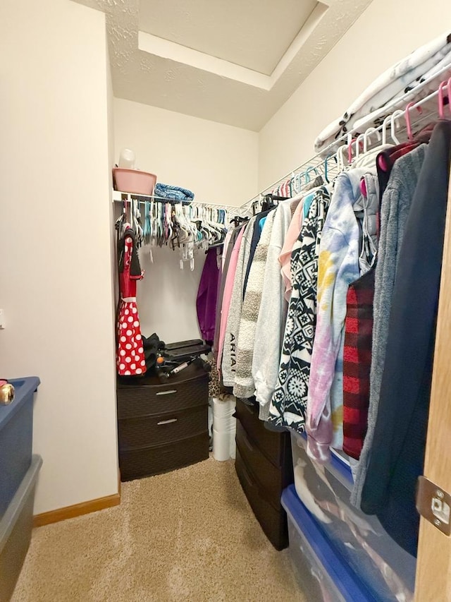 15538 Finley Way Unit 2, South Beloit, IL 61080 - walk in closet with carpet floors