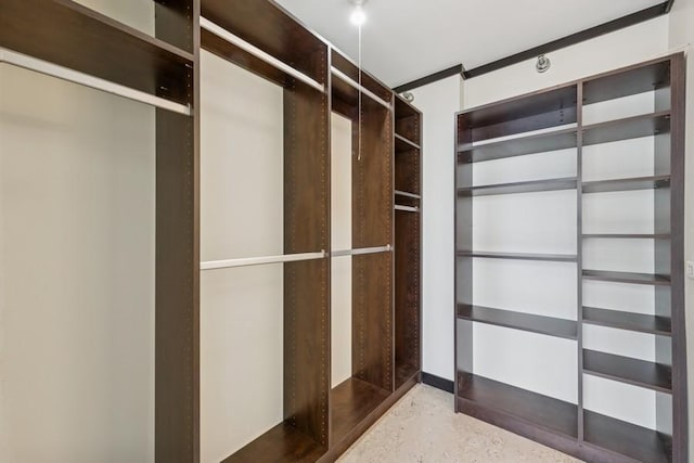 1230 N State Pkwy Unit 17A, Chicago, IL 60610 - view of spacious closet