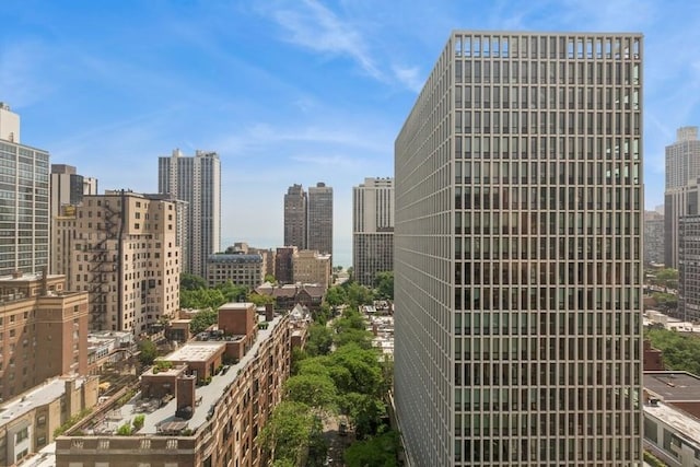 1230 N State Pkwy Unit 17A, Chicago, IL 60610 - skyline view