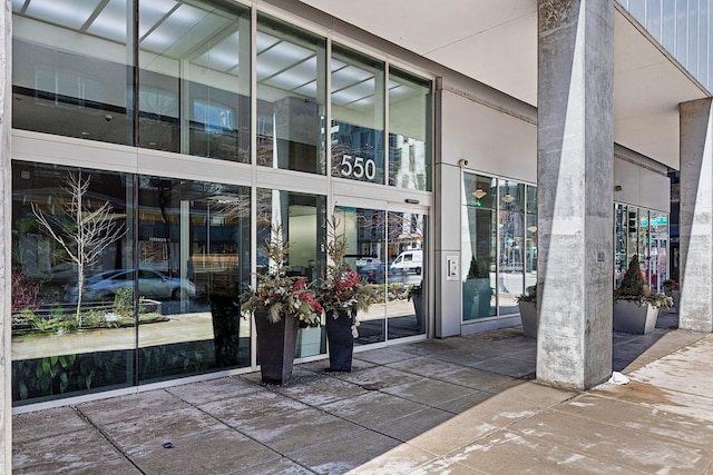 550 N Saint Clair St Unit 2301, Chicago, IL 60611 - property entrance
