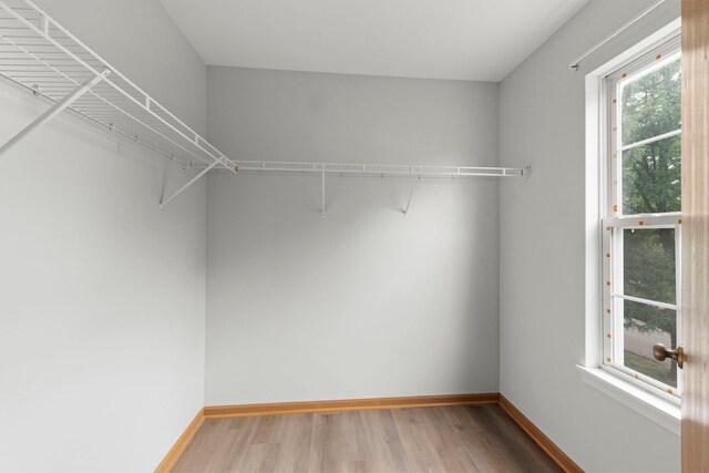 14208 S Napa Cir, Plainfield, IL 60544 - walk in closet featuring wood finished floors