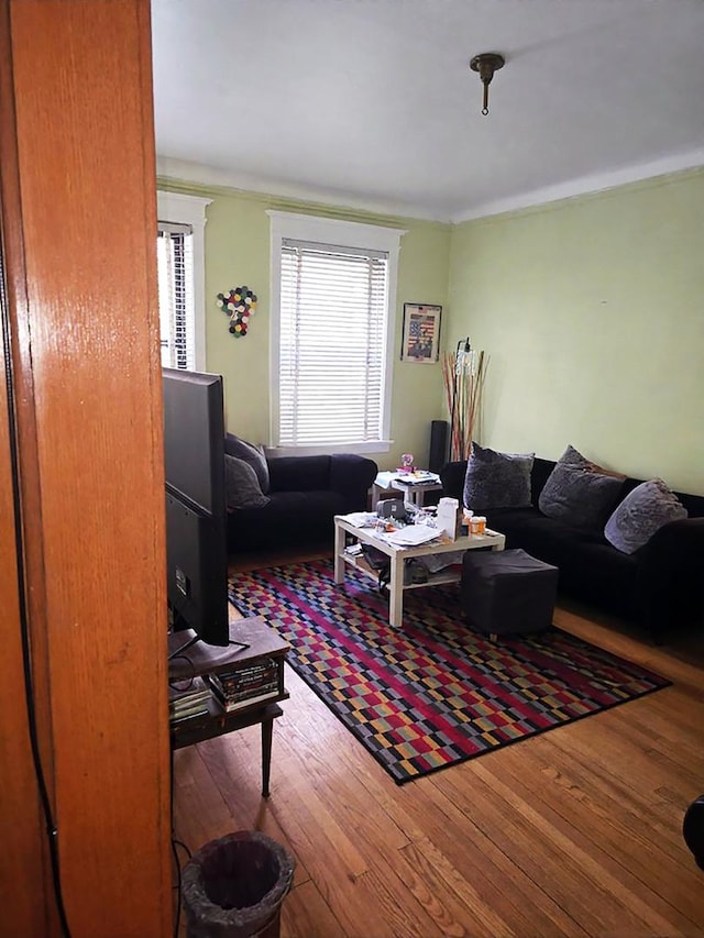 824 E Hyde Park Blvd Unit 1, Chicago, IL 60615 - living area featuring wood finished floors and crown molding