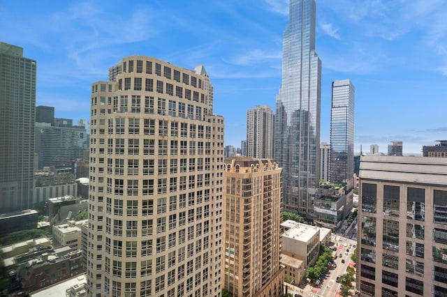 800 N Michigan Ave Unit 2502, Chicago, IL 60611 - view of city skyline