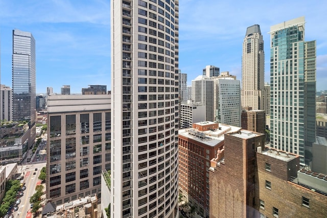 800 N Michigan Ave Unit 2502, Chicago, IL 60611 - skyline view