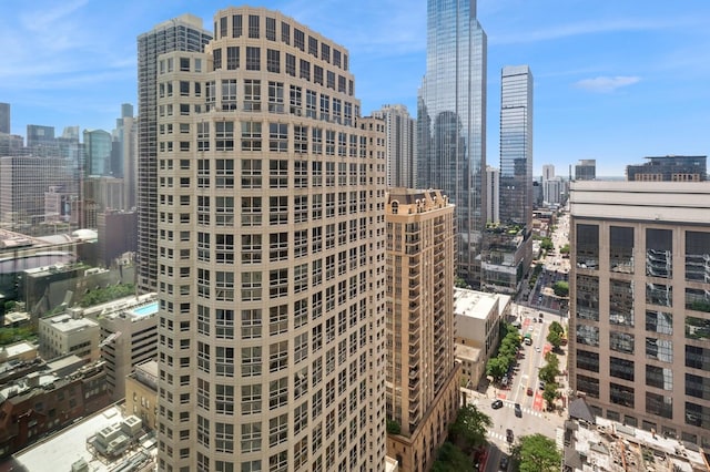 800 N Michigan Ave Unit 2502, Chicago, IL 60611 - skyline view