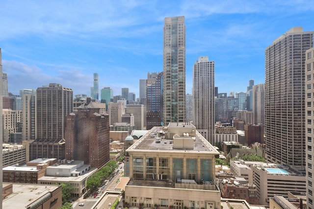 800 N Michigan Ave Unit 2502, Chicago, IL 60611 - skyline view