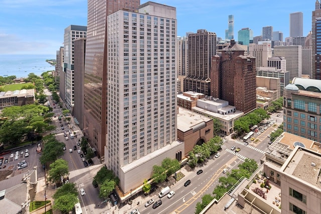 800 N Michigan Ave Unit 2502, Chicago, IL 60611 - skyline view featuring a large body of water