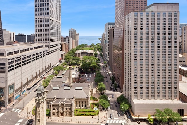 800 N Michigan Ave Unit 2502, Chicago, IL 60611 - view of city featuring a large body of water