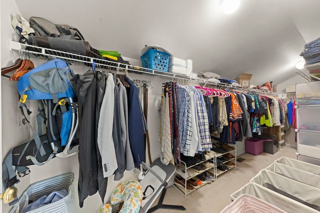 7425 Rosewind Dr, Plainfield, IL 60586 - spacious closet with vaulted ceiling and carpet floors