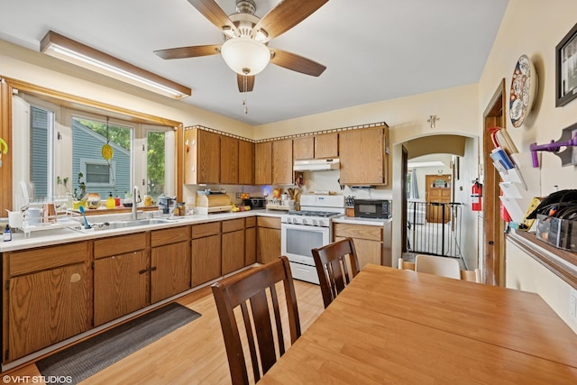 8124 44th St, Lyons, IL 60534 - photo 4