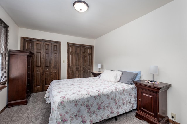 2519 Cherie Ln, Ottawa, IL 61350 - bedroom featuring carpet floors and two closets
