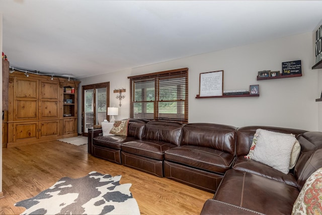 2519 Cherie Ln, Ottawa, IL 61350 - living room with light wood-style flooring and rail lighting
