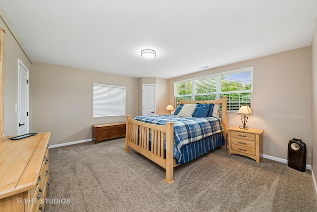 2832 Stoney Creek Dr, Elgin, IL 60124 - photo 36