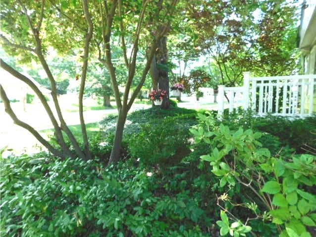 711 Glendale Ave, Rockford, IL 61108 - view of yard