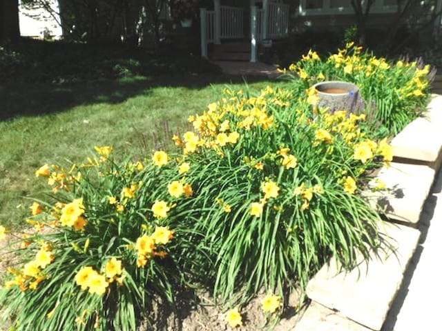 711 Glendale Ave, Rockford, IL 61108 - view of grassy yard