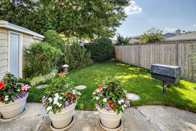 6955 N Dowagiac Ave, Chicago, IL 60646 - view of yard