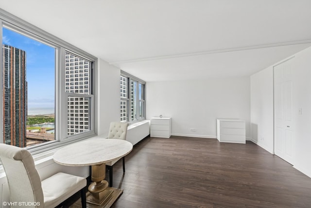 400 E Randolph St Unit 2902, Chicago, IL 60601 - living area with dark wood-style flooring and baseboards