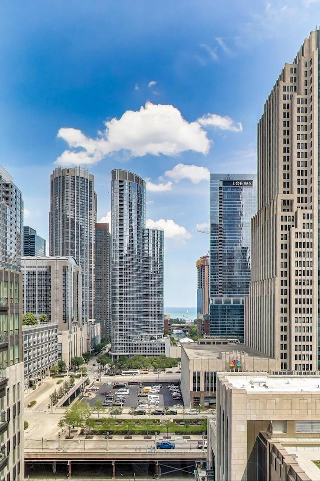 435 N Michigan Ave Unit 1105, Chicago, IL 60611 - photo 28