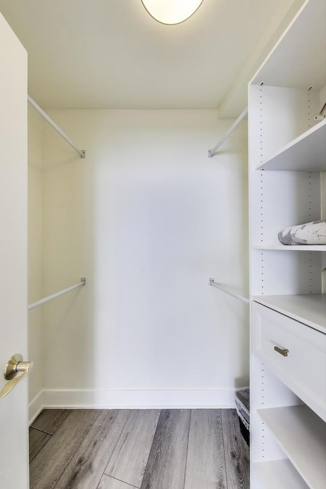940 W Glenlake Ave Unit 19C, Chicago, IL 60660 - walk in closet with wood finished floors