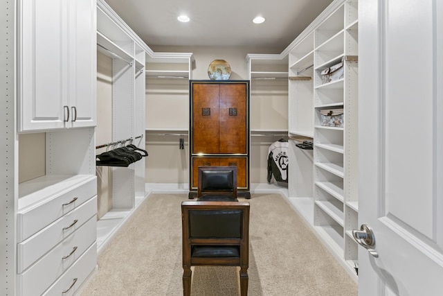 9 Aztec Ct, South Barrington, IL 60010 - walk in closet with carpet flooring