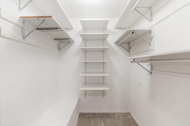 327 Georgetown Ct Unit B, Bloomingdale, IL 60108 - spacious closet with carpet flooring