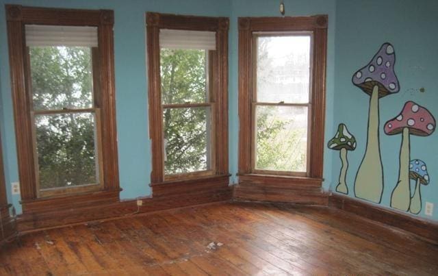 900 Willard St, Galesburg, IL 61401 - spare room with wood-type flooring