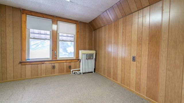 10747 S S Ave H, Chicago, IL 60617 - carpeted spare room featuring wood walls