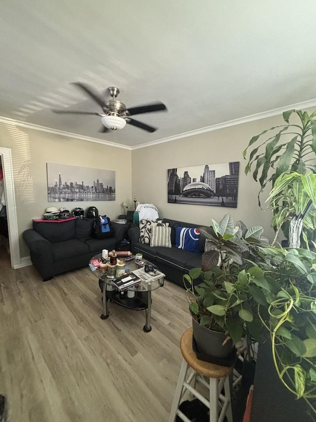 2249 N Long Ave, Chicago, IL 60639 - photo 3
