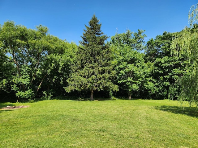 3100 W Brooke Ave, Waukegan, IL 60087 - view of grassy yard