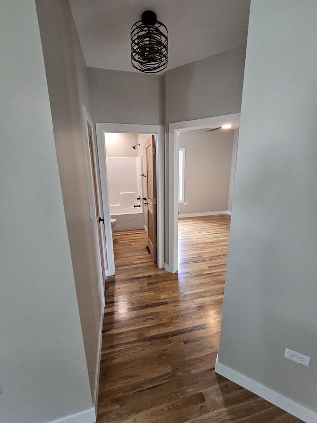 327 Lincoln Ave, Woodstock, IL 60098 - hall with wood finished floors and baseboards