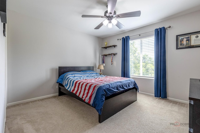 843 Brahms Rd, Volo, IL 60073 - carpeted bedroom with baseboards and a ceiling fan