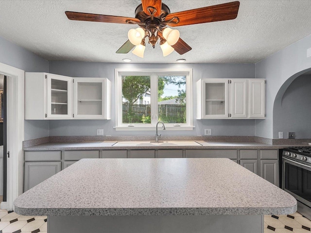 1639 Arlington Ave, Rockford, IL 61107 - kitchen featuring stainless steel gas range, arched walkways, glass insert cabinets, a textured ceiling, and a ceiling fan