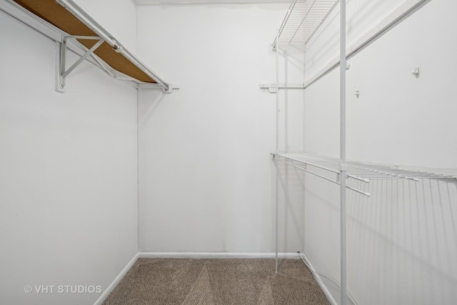 600 Hanover Ct Unit V1, Schaumburg, IL 60194 - walk in closet with carpet floors