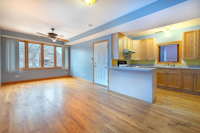 3714 S Hermitage Ave, Chicago, IL 60609 - photo 2
