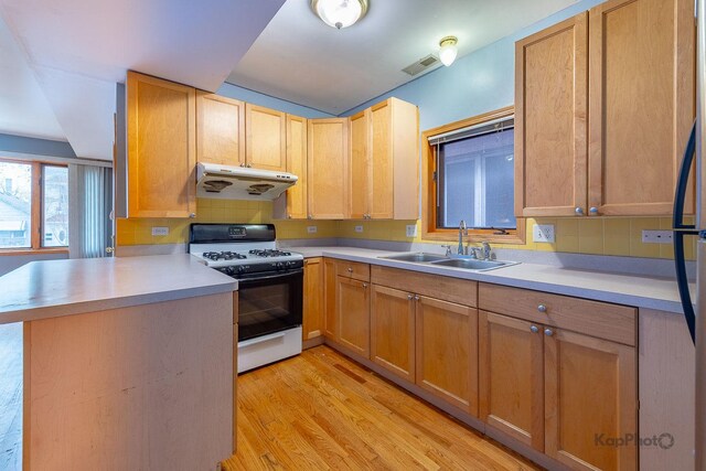 3714 S Hermitage Ave, Chicago, IL 60609 - photo 9