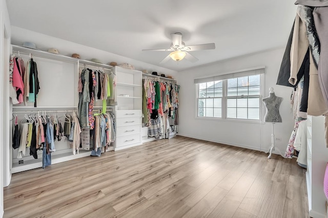 2011 Gleneagle Dr, Plainfield, IL 60586 - walk in closet with ceiling fan and light wood-style floors