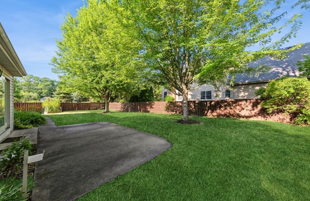 536 S Echo Ln, Palatine, IL 60067 - fenced backyard with a patio