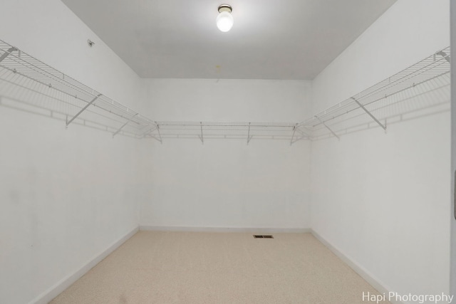 10174 Hopkins St, Huntley, IL 60142 - walk in closet featuring light carpet