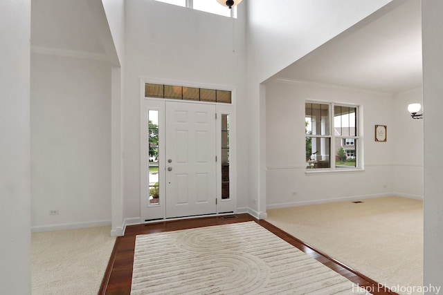 10174 Hopkins St, Huntley, IL 60142 - entryway featuring healthy amount of natural light, dark carpet, ornamental molding, and a high ceiling