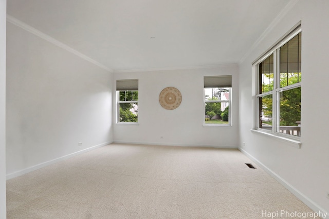 10174 Hopkins St, Huntley, IL 60142 - carpeted empty room featuring crown molding and plenty of natural light