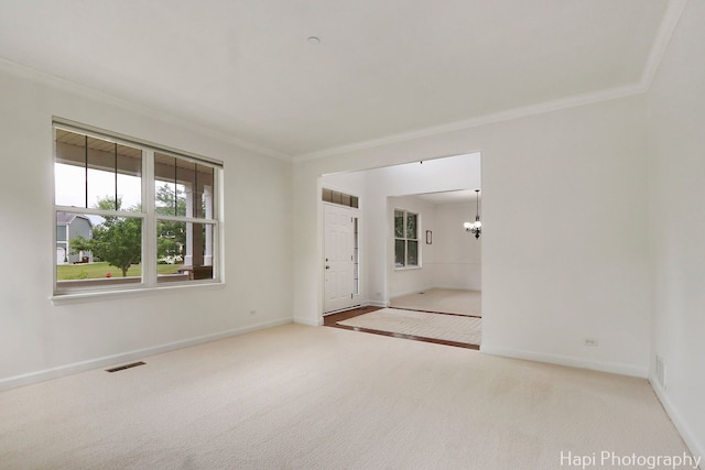 10174 Hopkins St, Huntley, IL 60142 - empty room featuring ornamental molding and carpet flooring