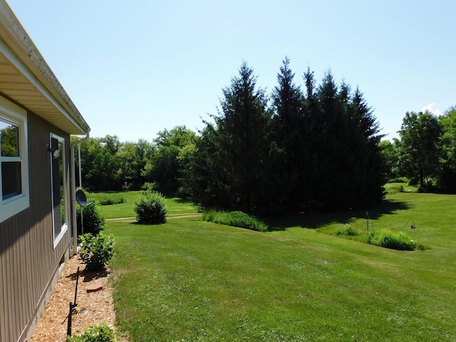4256 W Egan Rd, Leaf River, IL 61047 - view of grassy yard