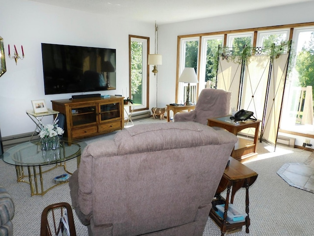 4256 W Egan Rd, Leaf River, IL 61047 - living room with carpet flooring and baseboards
